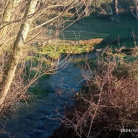 De Brevas A Higos 에스피르도