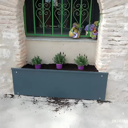 De Brevas A Higos Lantställe *