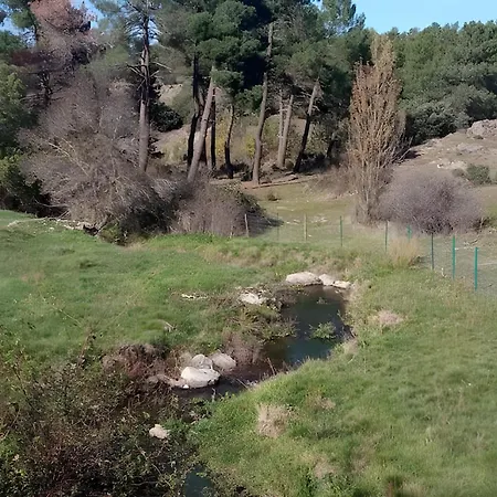 Lantställe De Brevas A Higos Espirdo