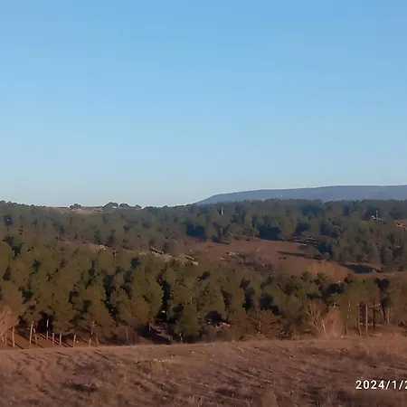 De Brevas A Higos Lantställe Espirdo