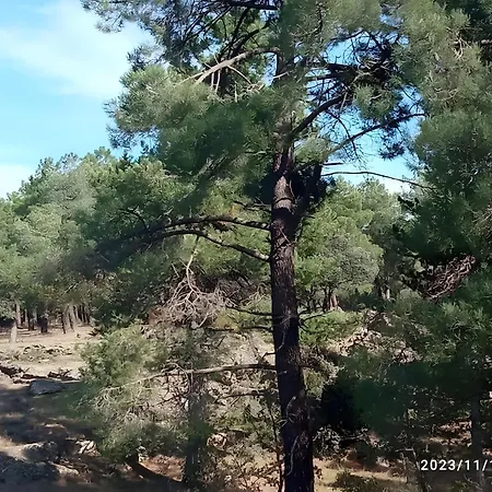 컨트리하우스 De Brevas A Higos *