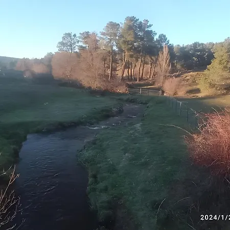 Lantställe De Brevas A Higos Espirdo