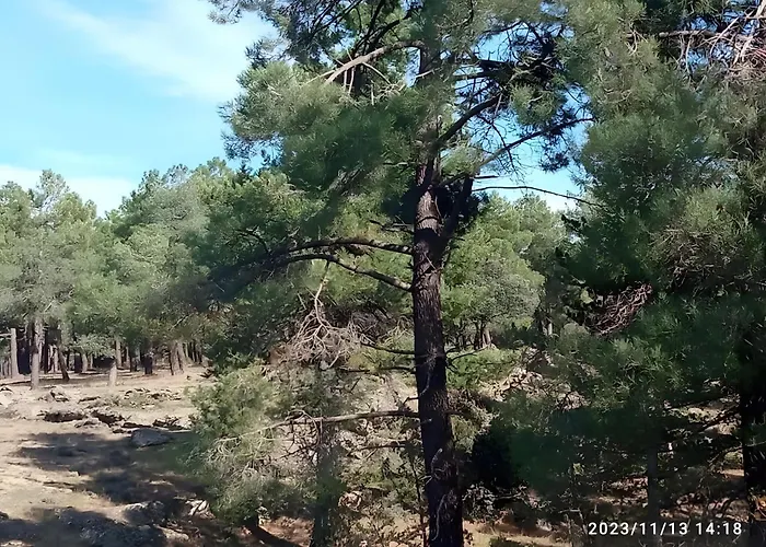 Casa rural De Brevas A Higos *