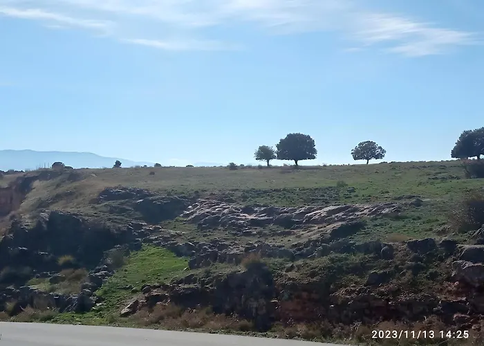 De Brevas A Higos * Espirdo